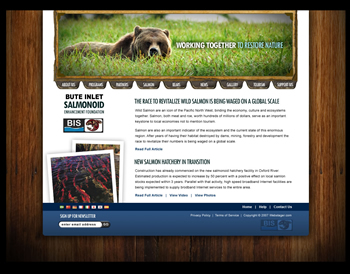 Bears of Bute