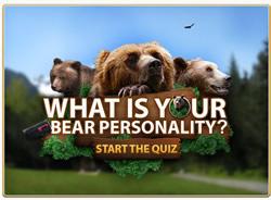 Your Bear Personality