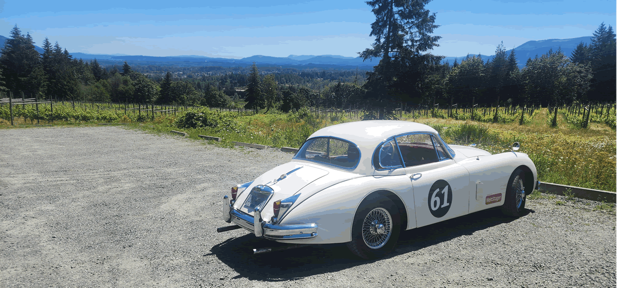 A sun-drenched vineyard in Cowichan Valley, British Columbia - Averill Creek Vineyard