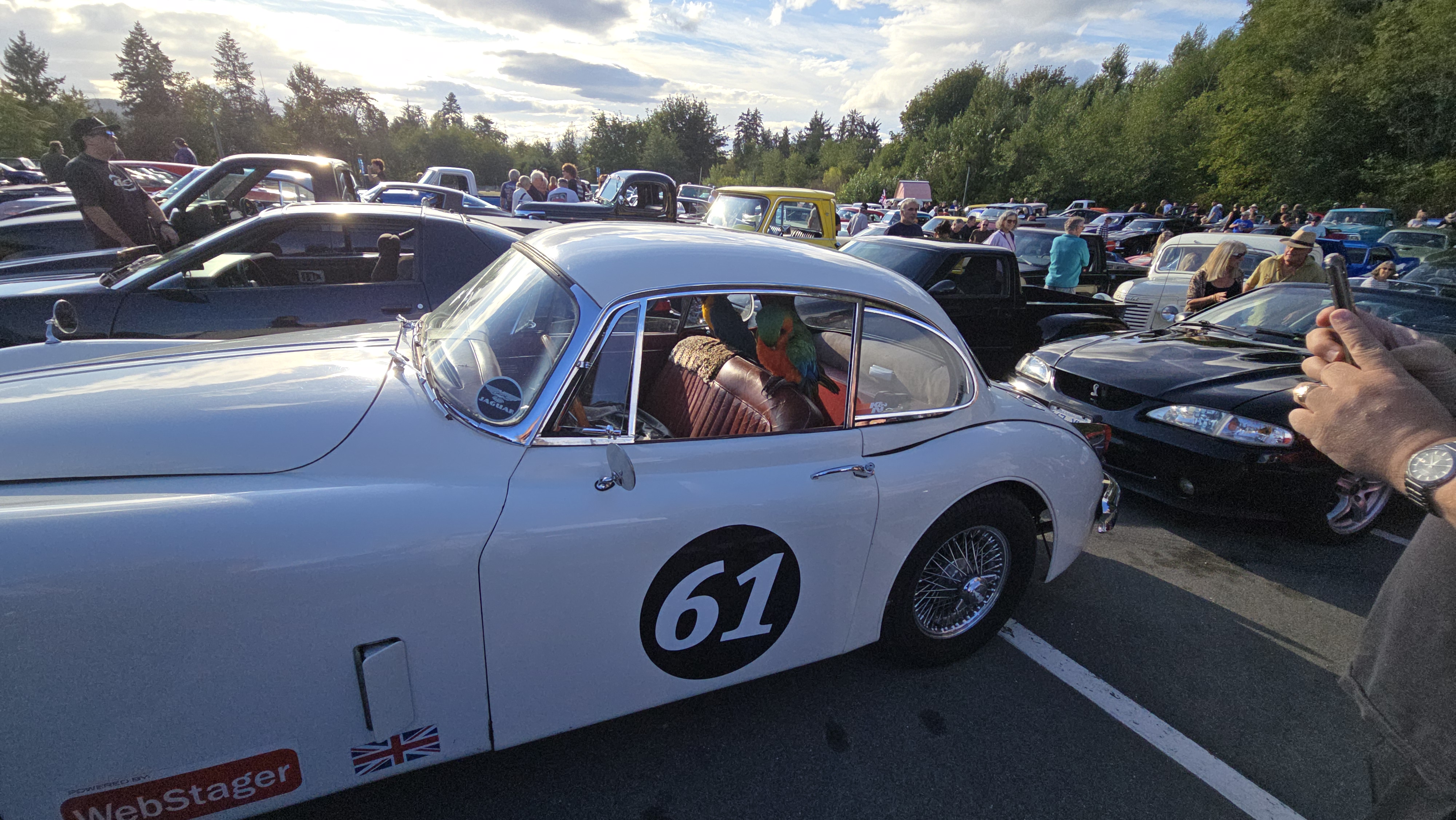 XK 150 at car show in Cowichan Valley
