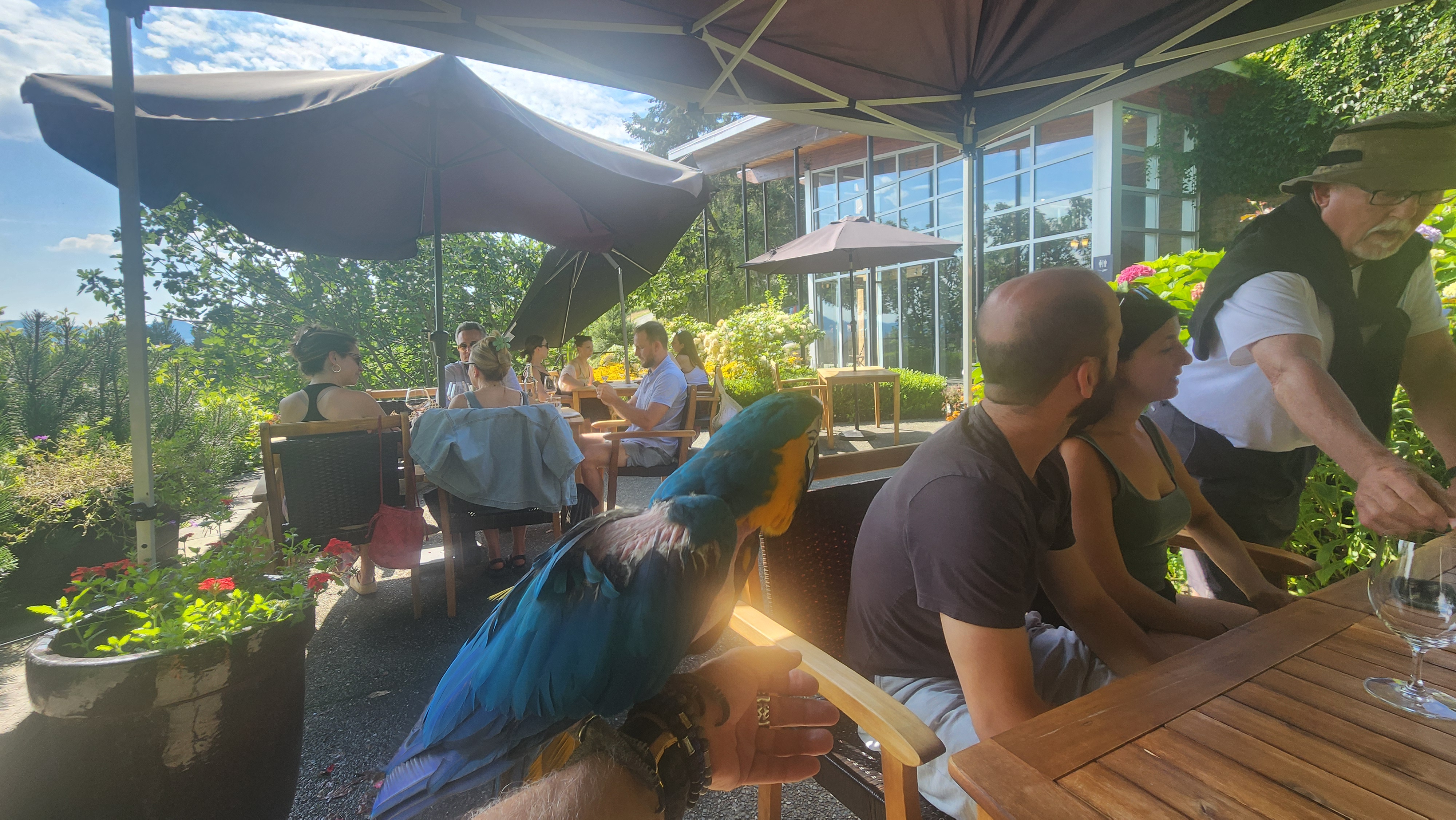 Warm inviting guesthouse interior