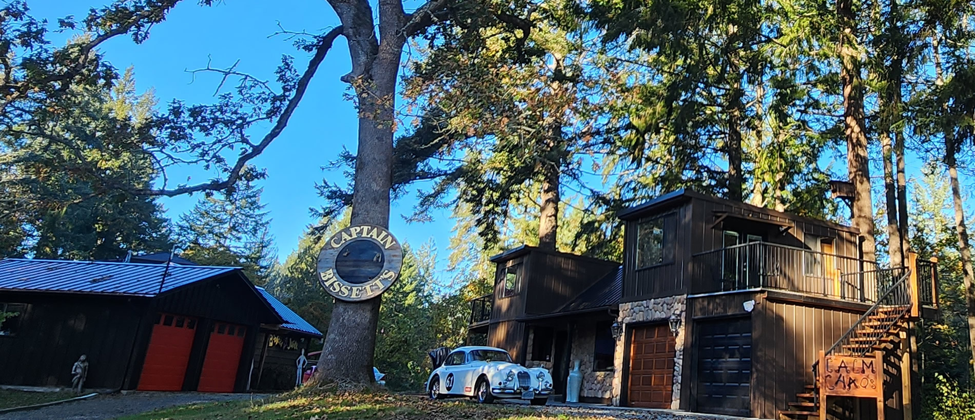 Calm Chaos Maple Bay forest retreat