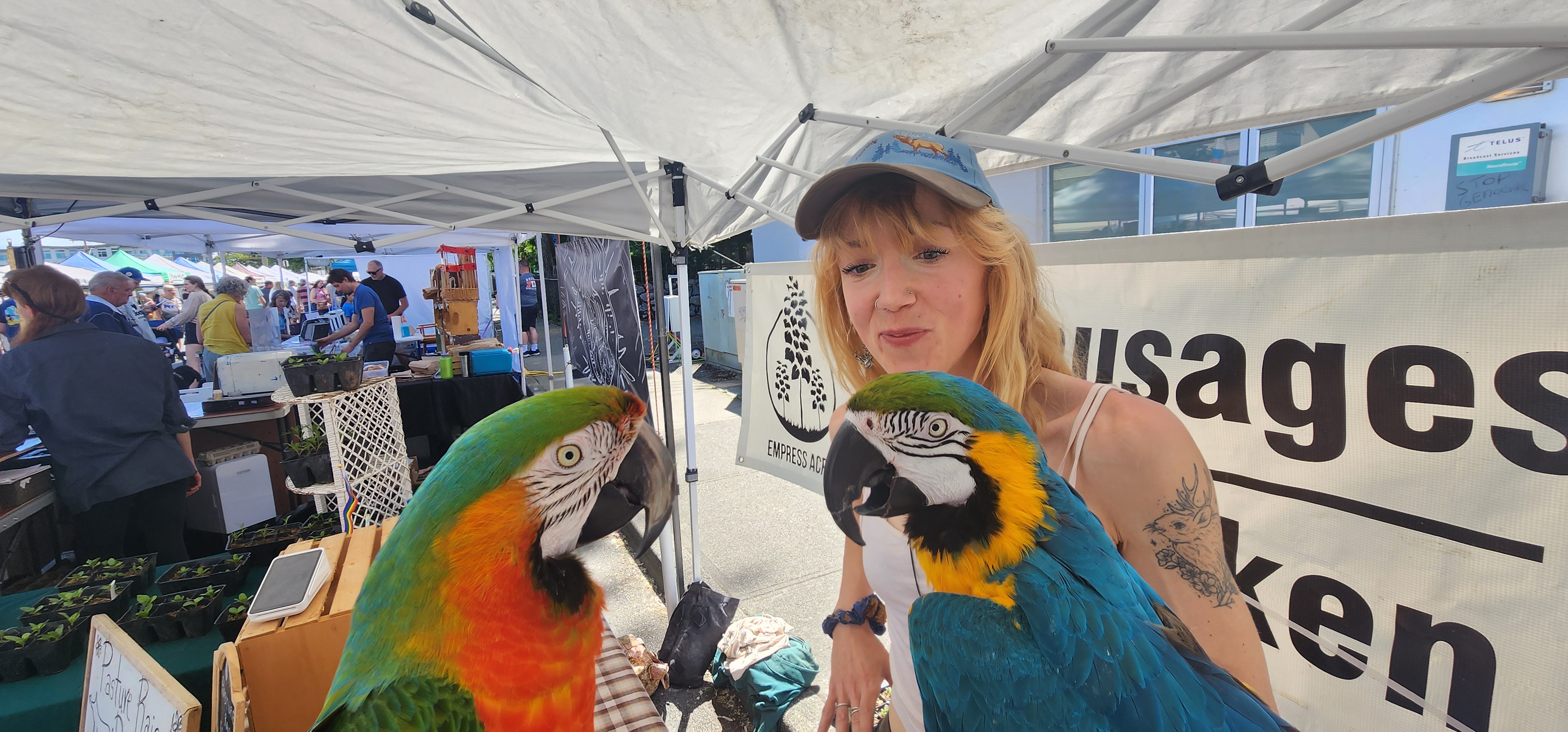Bo and Blu co hosts work the Duncan Farmer's market.
