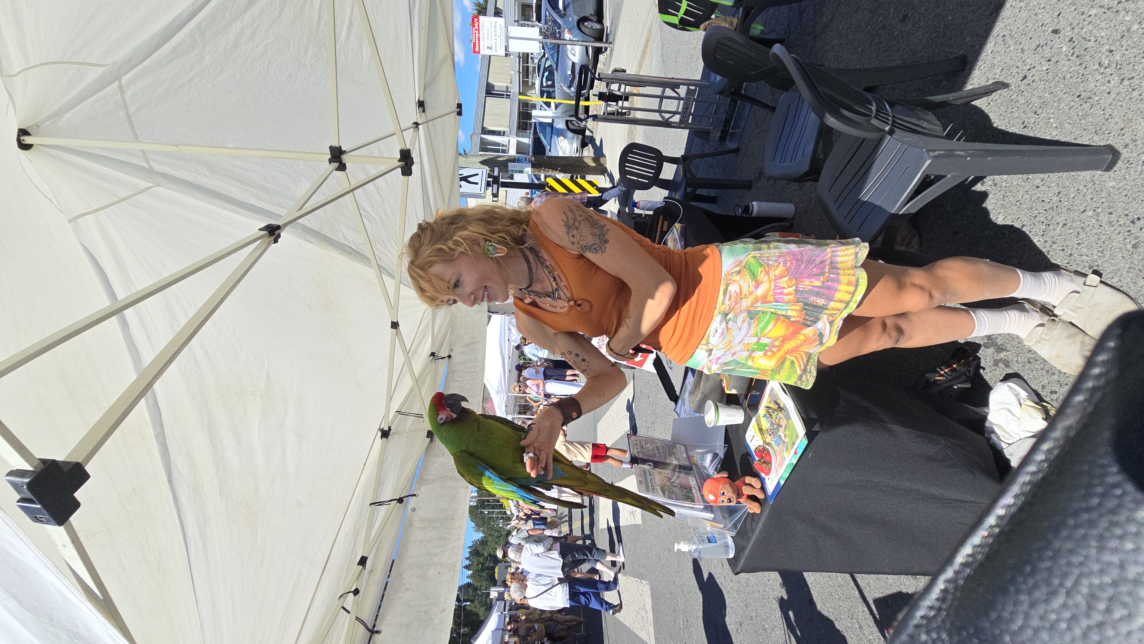 Mango the military macaw on a morning forest walk